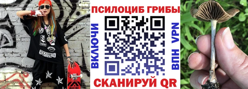 OMG как войти  Ардон  Галлюциногенные грибы Psilocybine cubensis  даркнет сайт 
